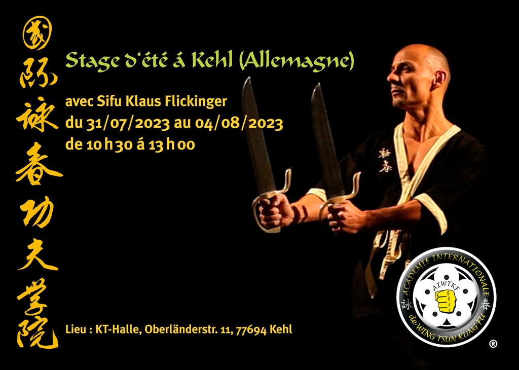 Stage d’été 2023 avec Sifu K. Flickinger ! - 67000 - Strasbourg